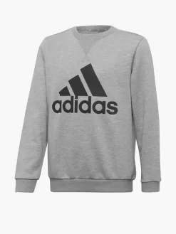 Adidas Sweatshirt
