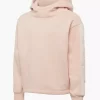 Champion Hoodie -Sportmode 2085767 H1