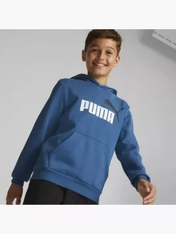 Puma Hoodie -Sportmode 2088022 H5
