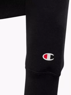 Champion Hoodie -Sportmode 2180802 H3