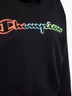 Champion Hoodie -Sportmode 2180802 H4