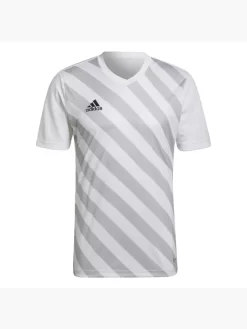 Adidas Entrada 22 Graphic Trikot