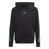 Adidas Train Icons AEROREADY 3-Streifen Hoodie -Sportmode 8012 HR5926 P